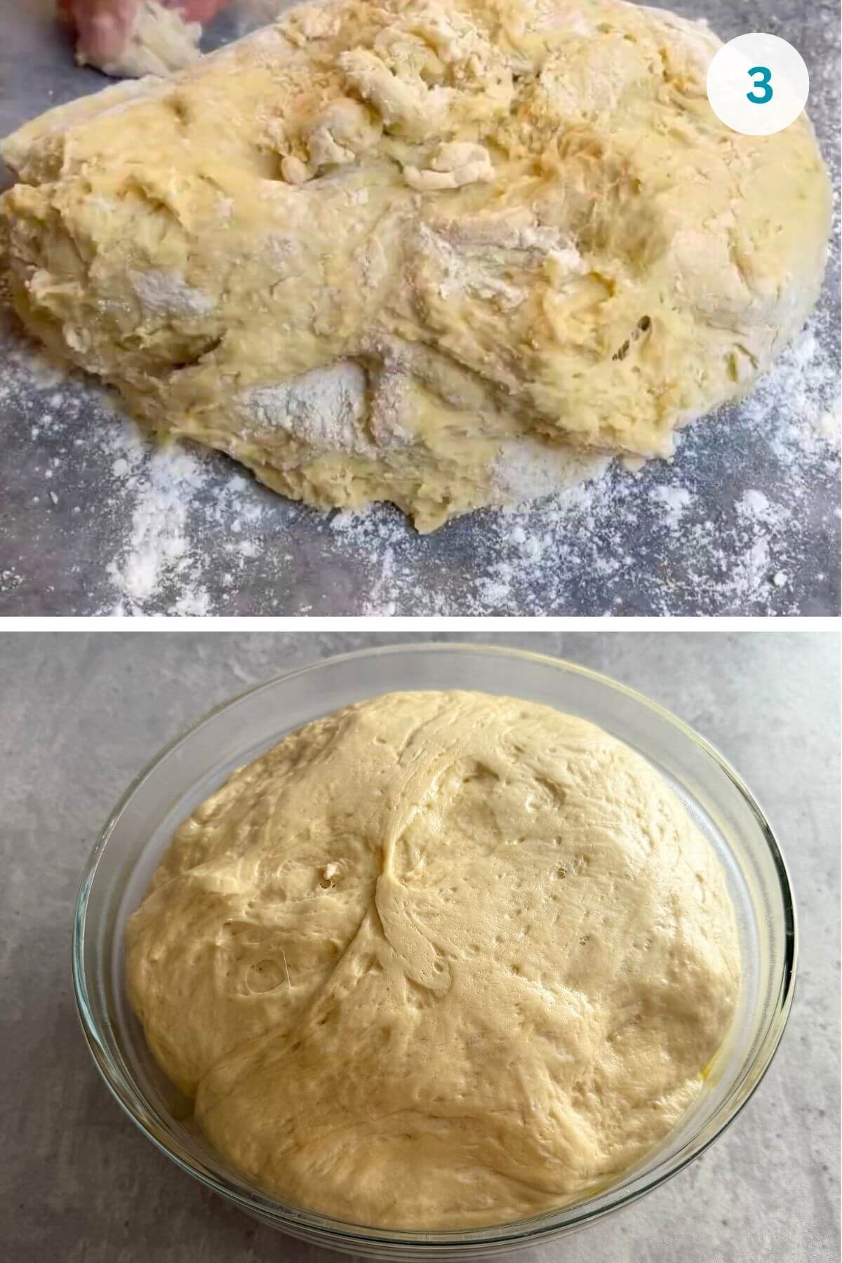 Placed the dough in a greased bowl, covered it, and let it rise in a warm spot until doubled in size.