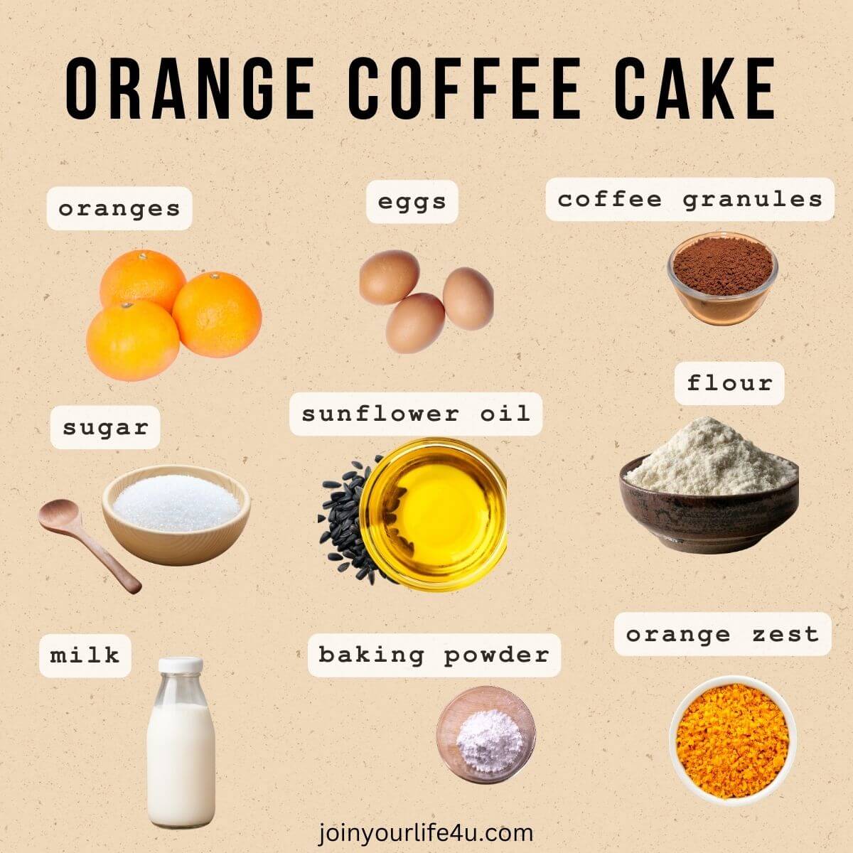 Ingredient shot: oranges, eggs, sugar, vegetable oil, whole milk, flour, baking powder, orange zest, cocoa powder.