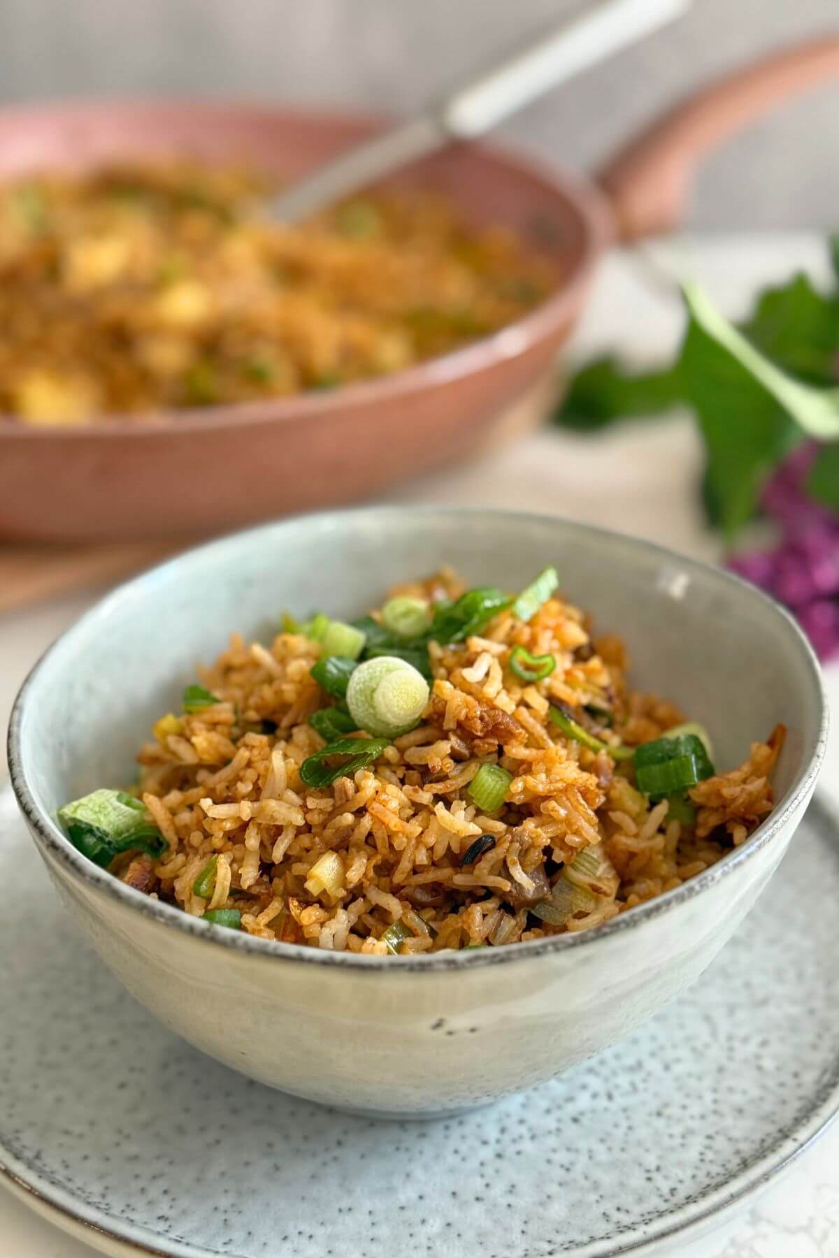 Leftover lamb fried rice served in a bowl with green onions. 