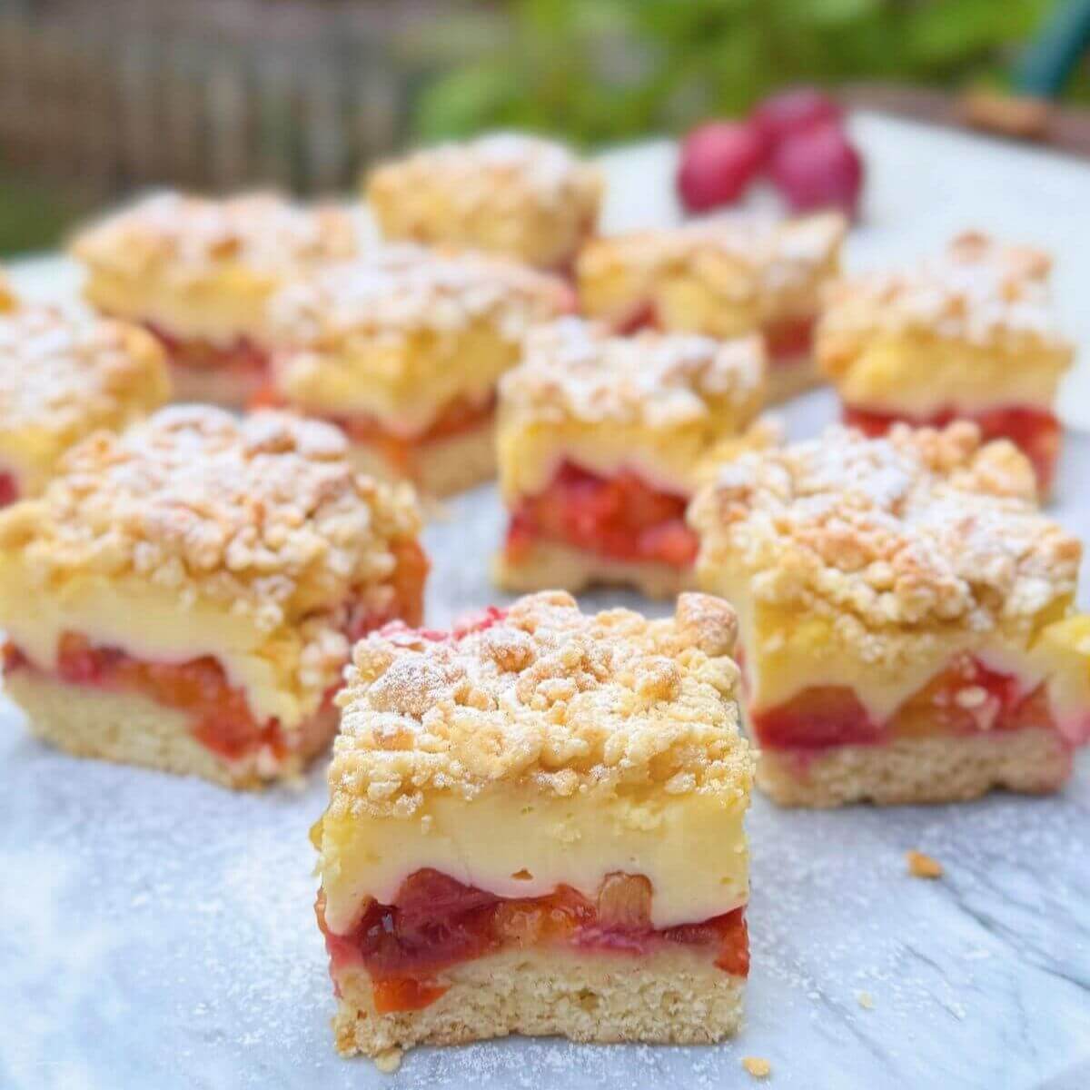 Old-fashioned plum cake with vanilla pudding