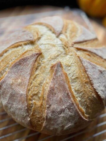 Romanian House Bread (Paine de casa): An Easy Rustic Recipe