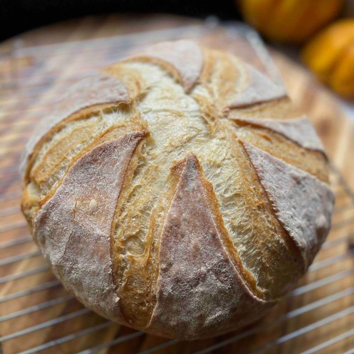 Romanian House Bread (Paine de casa): An Easy Rustic Recipe