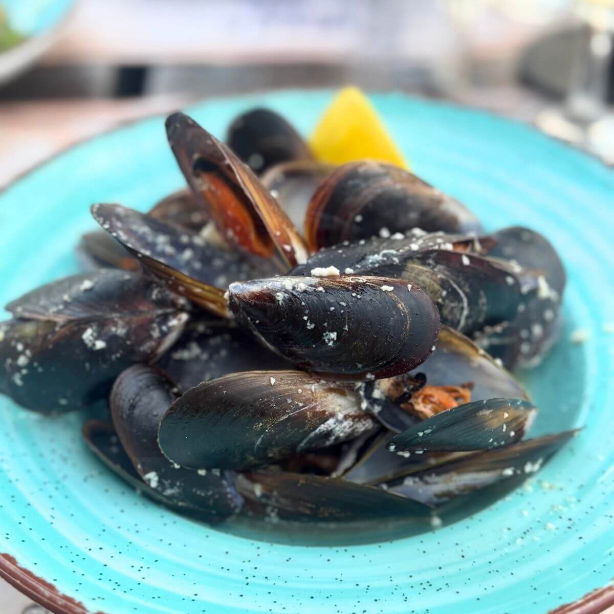 Seafood Recipes
