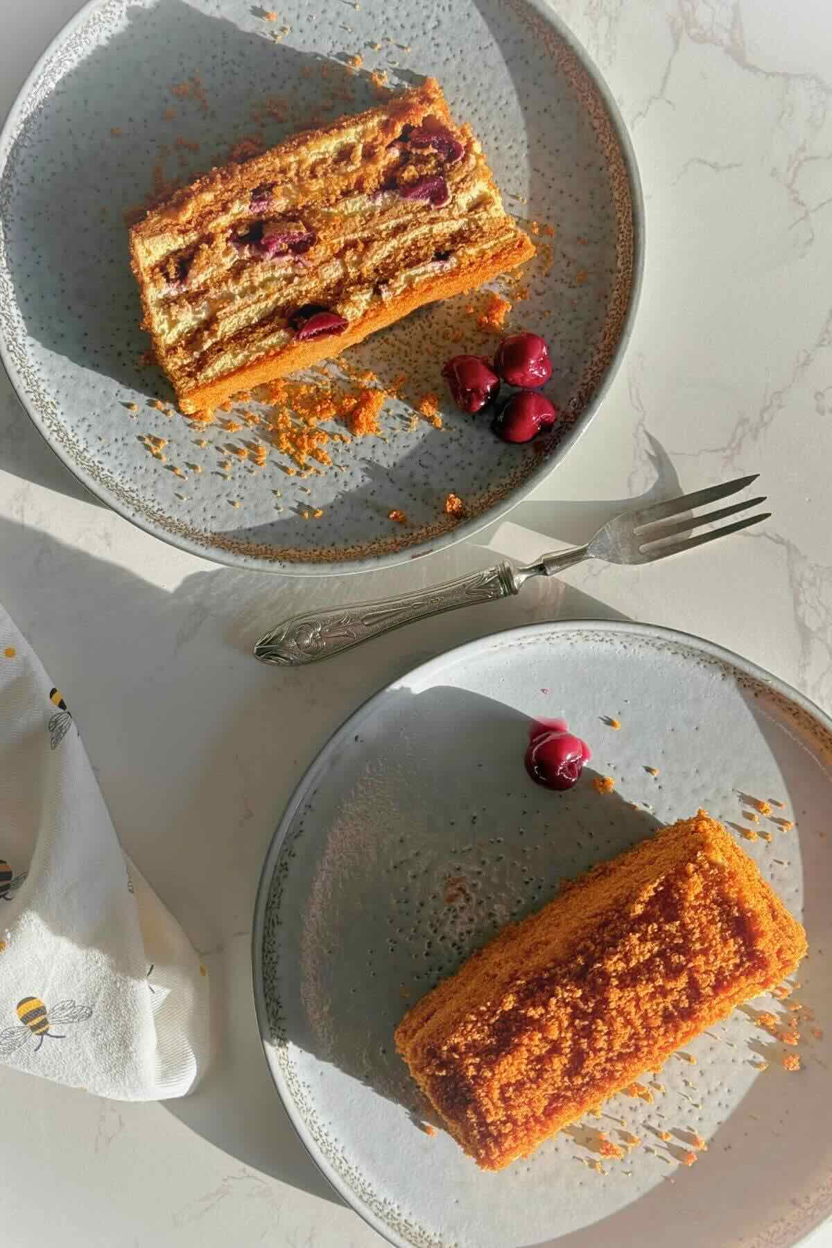 Homemade Russian honey cake topped with traditional cake crumbs.