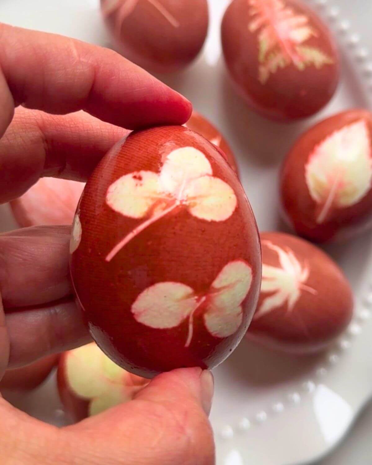 Naturally dyed red Easter egg with clover leaf print pattern on burgundy shell