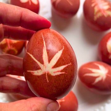 Naturally dyed red Easter egg with Japanese maple leaf print pattern on burgundy shell.
