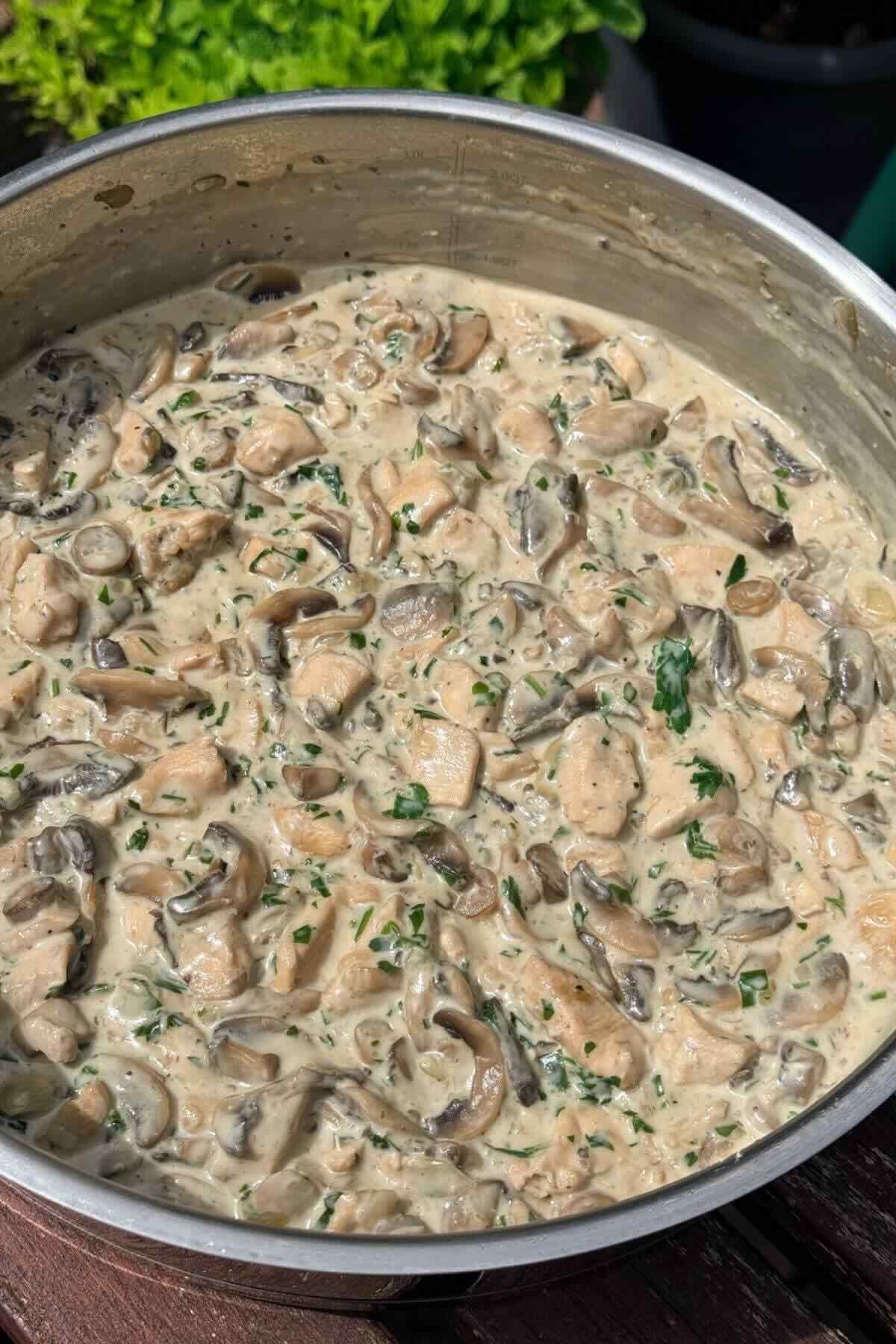 Creamy chicken and mushroom stew in white sauce with parsley.