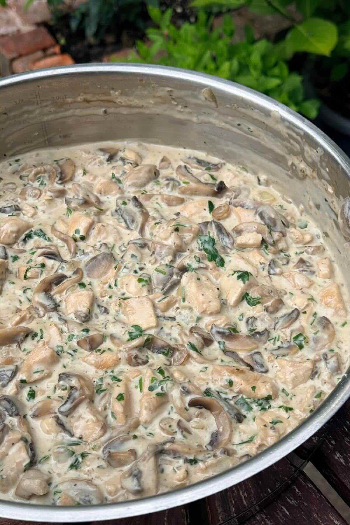 Creamy chicken and mushroom stew in white sauce with parsley.