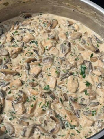 Chicken mushroom sour cream stew in skillet.